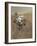 Self-Portrait of Curiosity Rover in Gale Crater on the Surface of Mars-null-Framed Photographic Print