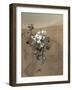 Self-Portrait of Curiosity Rover in Gale Crater on the Surface of Mars-null-Framed Photographic Print