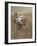 Self-Portrait of Curiosity Rover in Gale Crater on the Surface of Mars-null-Framed Photographic Print