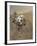 Self-Portrait of Curiosity Rover in Gale Crater on the Surface of Mars-null-Framed Photographic Print