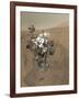 Self-Portrait of Curiosity Rover in Gale Crater on the Surface of Mars-null-Framed Photographic Print