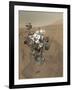 Self-Portrait of Curiosity Rover in Gale Crater on the Surface of Mars-null-Framed Photographic Print