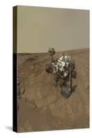 Self-Portrait of Curiosity Rover on the Surface of Mars-null-Stretched Canvas