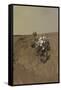 Self-Portrait of Curiosity Rover on the Surface of Mars-null-Framed Stretched Canvas