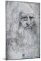 Self Portrait of Leonardo Da Vinci, C1512-1515-Leonardo da Vinci-Mounted Giclee Print