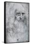 Self Portrait of Leonardo Da Vinci, C1512-1515-Leonardo da Vinci-Framed Stretched Canvas