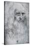 Self Portrait of Leonardo Da Vinci, C1512-1515-Leonardo da Vinci-Stretched Canvas