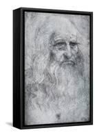 Self Portrait of Leonardo Da Vinci, C1512-1515-Leonardo da Vinci-Framed Stretched Canvas