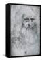 Self Portrait of Leonardo Da Vinci, C1512-1515-Leonardo da Vinci-Framed Stretched Canvas