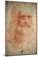 Self Portrait of Leonardo Da Vinci, Italian Painter, Sculptor, Engineer and Architect, C1513-Leonardo da Vinci-Mounted Giclee Print