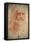 Self Portrait of Leonardo Da Vinci, Italian Painter, Sculptor, Engineer and Architect, C1513-Leonardo da Vinci-Framed Stretched Canvas