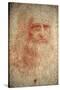 Self Portrait of Leonardo Da Vinci, Italian Painter, Sculptor, Engineer and Architect, C1513-Leonardo da Vinci-Stretched Canvas