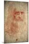 Self Portrait of Leonardo Da Vinci, Italian Painter, Sculptor, Engineer and Architect, C1513-Leonardo da Vinci-Mounted Giclee Print