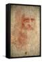 Self Portrait of Leonardo Da Vinci, Italian Painter, Sculptor, Engineer and Architect, C1513-Leonardo da Vinci-Framed Stretched Canvas