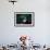 Self Portrait of Photographer with a Steller Sea Lion About to Bite His Head-Paul Souders-Framed Photographic Print displayed on a wall