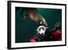 Self Portrait of Photographer with a Steller Sea Lion About to Bite His Head-Paul Souders-Framed Photographic Print