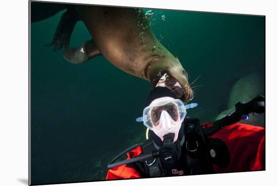 Self Portrait of Photographer with a Steller Sea Lion About to Bite His Head-Paul Souders-Mounted Photographic Print