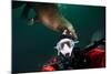 Self Portrait of Photographer with a Steller Sea Lion About to Bite His Head-Paul Souders-Mounted Photographic Print