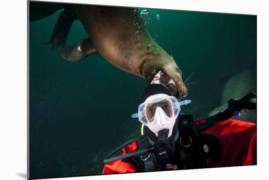 Self Portrait of Photographer with a Steller Sea Lion About to Bite His Head-Paul Souders-Mounted Photographic Print