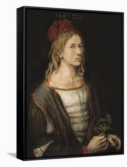 Self-Portrait or Portrait of the Artist Holding a Thistle-Albrecht Dürer-Framed Stretched Canvas