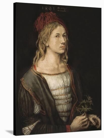 Self-Portrait or Portrait of the Artist Holding a Thistle-Albrecht Dürer-Stretched Canvas