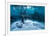 Self Portrait under a Glacier-Jonathan Tucker-Framed Photographic Print