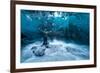 Self Portrait under a Glacier-Jonathan Tucker-Framed Photographic Print