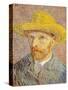 Self-Portrait with a Straw Hat, 1887-Vincent van Gogh-Stretched Canvas