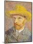 Self-Portrait with a Straw Hat, 1887-Vincent van Gogh-Mounted Giclee Print