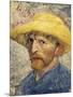 Self-Portrait with a Straw Hat-Vincent van Gogh-Mounted Art Print