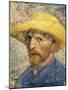 Self-Portrait with a Straw Hat-Vincent van Gogh-Mounted Art Print