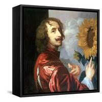 Self Portrait with a Sunflower, after 1632-Sir Anthony Van Dyck-Framed Stretched Canvas