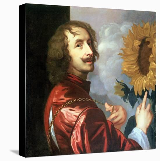 Self Portrait with a Sunflower, after 1632-Sir Anthony Van Dyck-Stretched Canvas