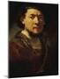 Self-Portrait with Beard, 1634/35-Rembrandt van Rijn-Mounted Giclee Print