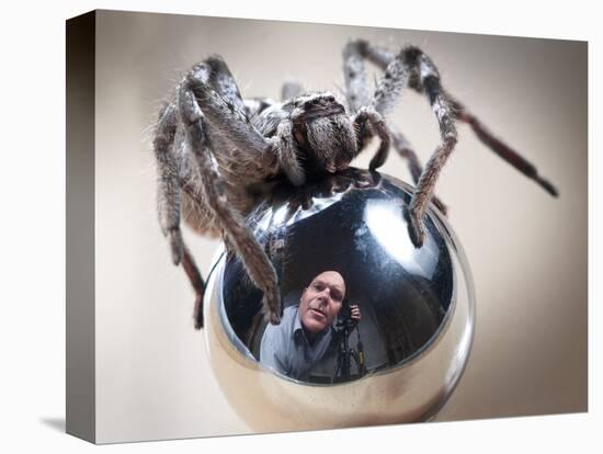 Self-Portrait with Spider-Tim Millar-Stretched Canvas