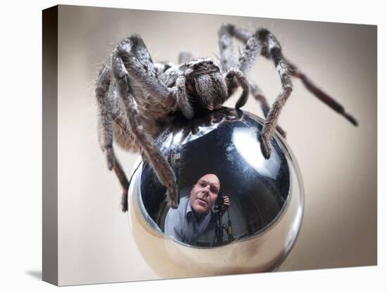 Self-Portrait with Spider-Tim Millar-Stretched Canvas