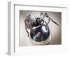 Self-Portrait with Spider-Tim Millar-Framed Photographic Print