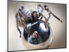 Self-Portrait with Spider-Tim Millar-Mounted Photographic Print