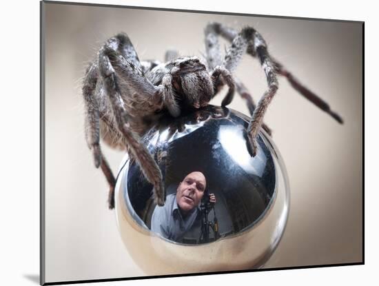 Self-Portrait with Spider-Tim Millar-Mounted Photographic Print