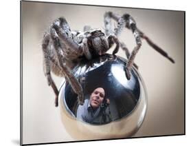 Self-Portrait with Spider-Tim Millar-Mounted Photographic Print