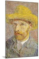 Self Portrait with Straw Hat 1887 Vincent Van Gogh-null-Mounted Art Print