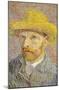 Self Portrait with Straw Hat 1887-Vincent van Gogh-Mounted Poster