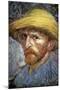 Self Portrait with Straw Hat, 1887-Vincent van Gogh-Mounted Giclee Print