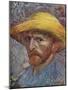 'Self Portrait with Straw Hat', 1887-Vincent van Gogh-Mounted Giclee Print
