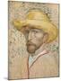 Self Portrait with Straw Hat, 1887-Vincent van Gogh-Mounted Giclee Print