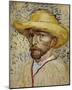 Self-Portrait with Straw Hat-Vincent van Gogh-Mounted Art Print