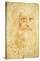 Self-Portrait-Leonardo da Vinci-Stretched Canvas