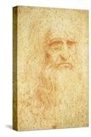 Self-Portrait-Leonardo da Vinci-Stretched Canvas