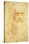 Self-Portrait-Leonardo da Vinci-Stretched Canvas