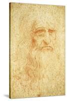 Self-Portrait-Leonardo da Vinci-Stretched Canvas